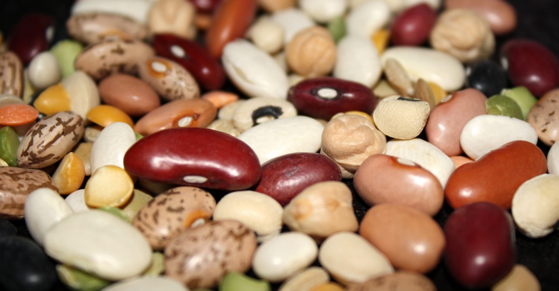 Beans