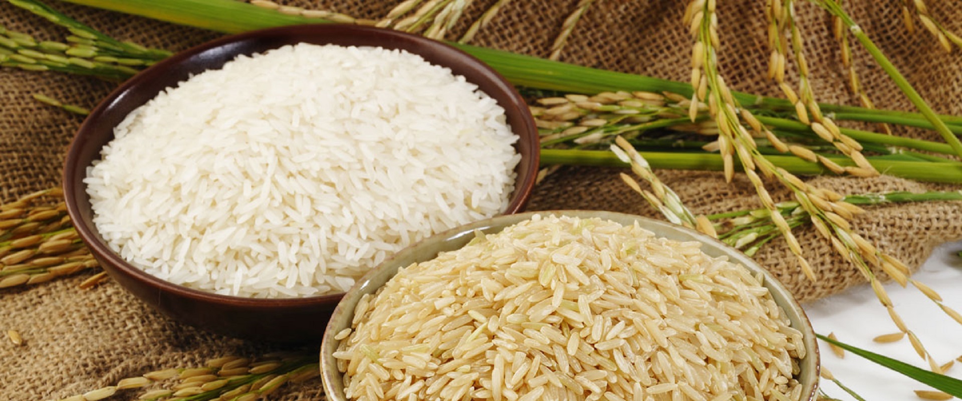 Rice